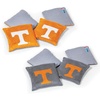 Tennessee Volunteers