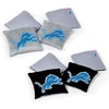 Detroit Lions